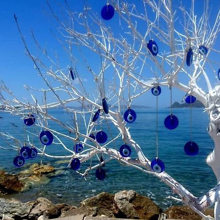 Azure Wellness Retreat (Adults Only) Ξενοδοχείο Turgutreis Εξωτερικό φωτογραφία