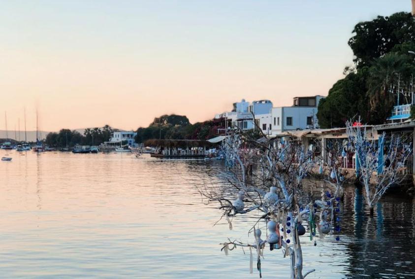 Azure Wellness Retreat (Adults Only) Ξενοδοχείο Turgutreis Εξωτερικό φωτογραφία